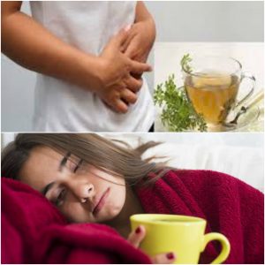 beneficios de la ruda abortar con ruda