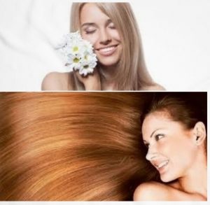 enfermedades que cura la manzanilla beneficios de la manzanilla para el cabello