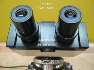como se usa el microscopio cuales son las partes del microscopio