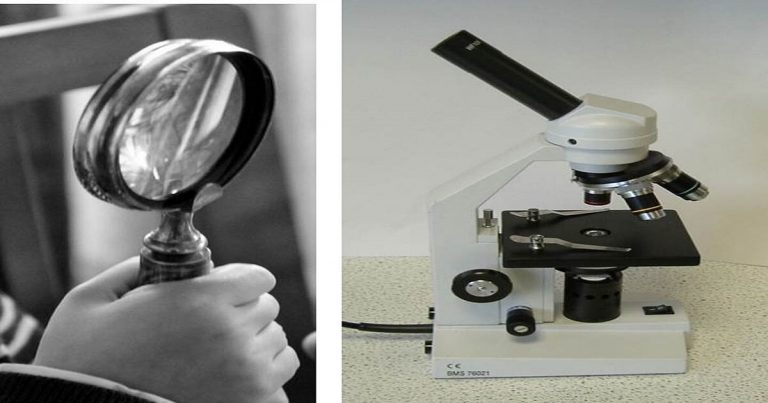 para que sirve un microscopio