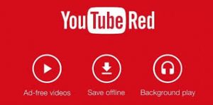 caracteristicas de youtube