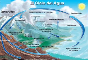 ciclos del agua