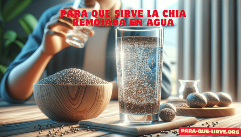 para qué sirve la chía remojada en agua 1