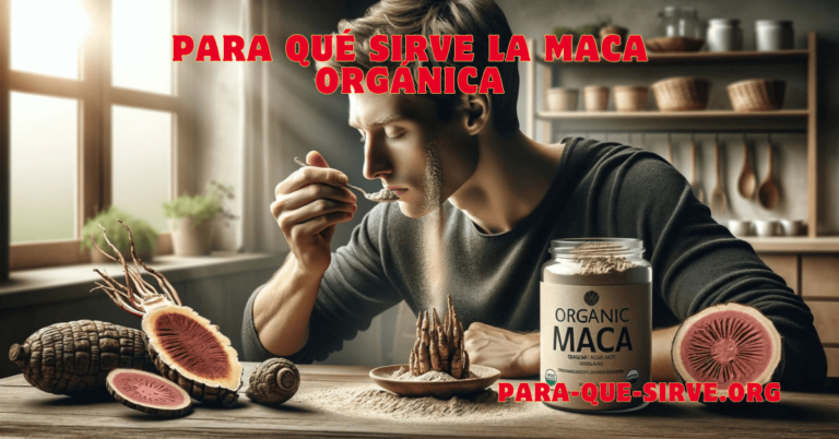 Para Qué Sirve la Maca Orgánica usos