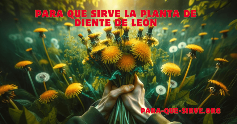 Para Qué Sirve la Planta de Diente de León 1