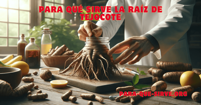 Para Qué Sirve la Raíz de Tejocote usos