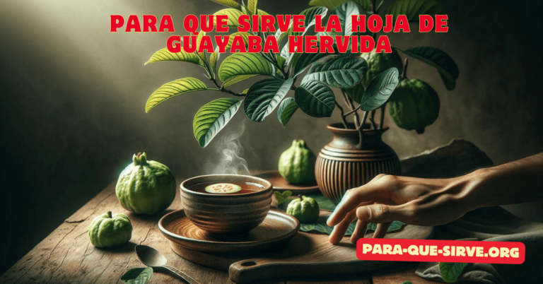 para que sirve la hoja de guayaba hervida 1