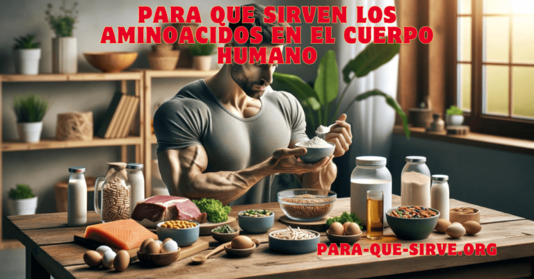 para que sirven los aminoacidos en el cuerpo humano beneficios