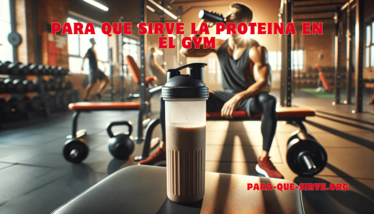 para que sirve la proteina en el gym beneficios